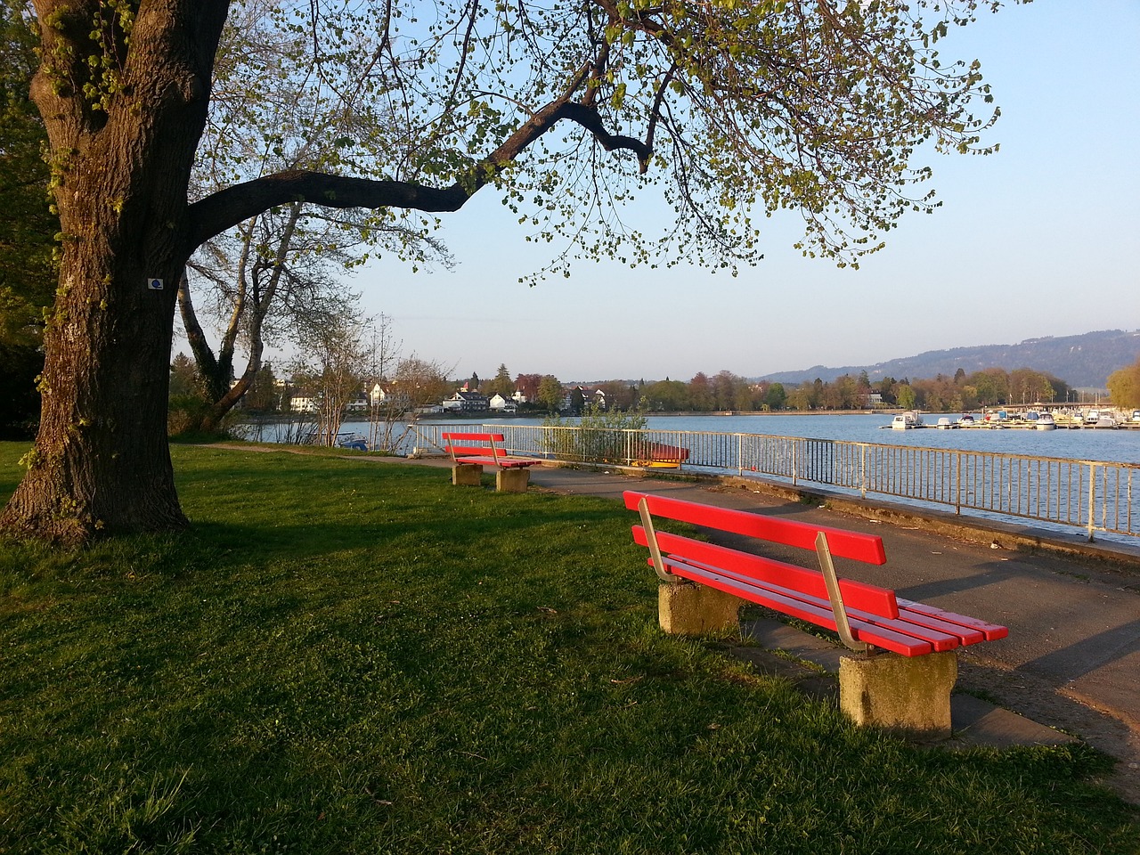 同样适用于 同样适用于