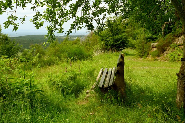 机会进一步 机会进一步