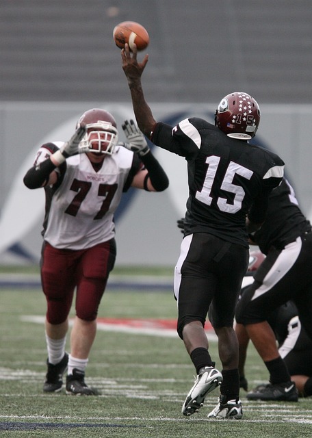 利益权衡方 利益权衡方