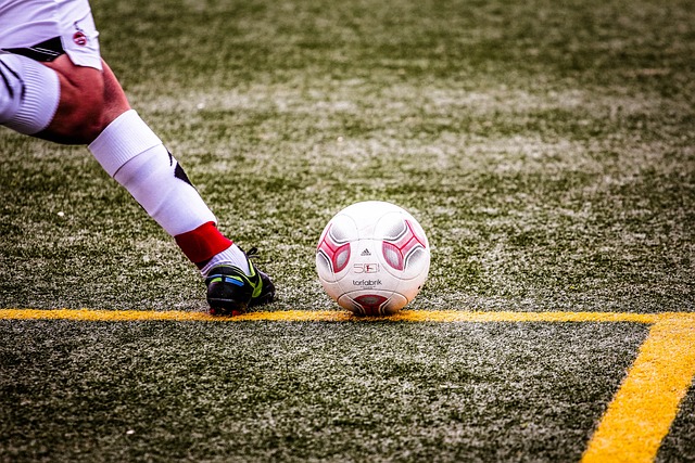 無法給葡萄 無法給葡萄