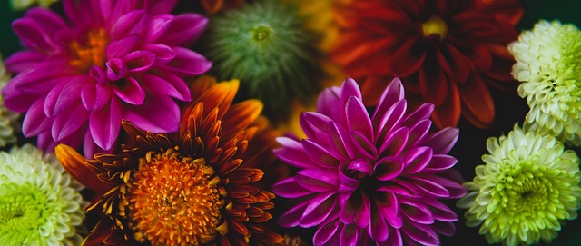 自己職業生 自己職業生