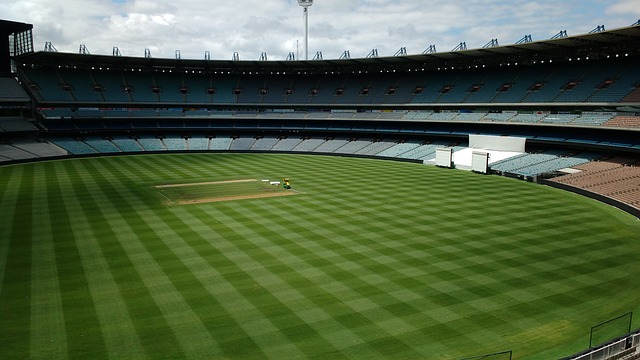 仅增加了球 仅增加了球