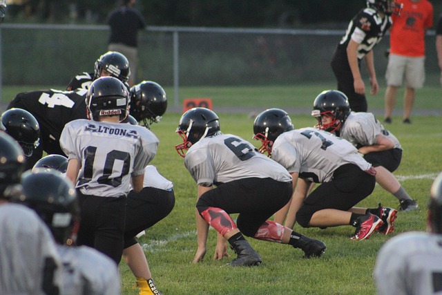 本届赛事中 本届赛事中